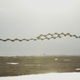 Illustration for article titled You've Never Seen Birds Fly Like This Before
